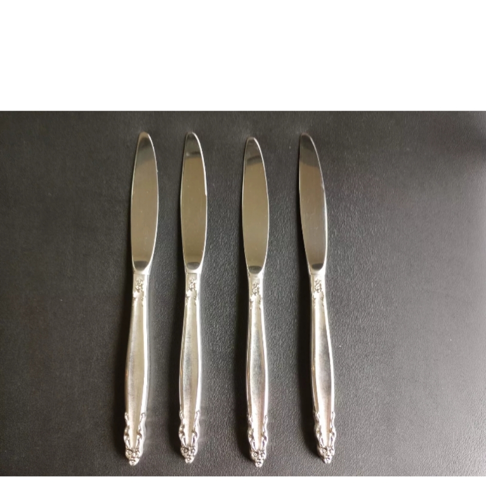 International Stainless Deluxe Inspiration Knives Set Of 4